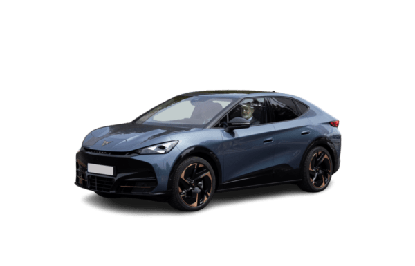 Tavascan VZ Plus 77KWh