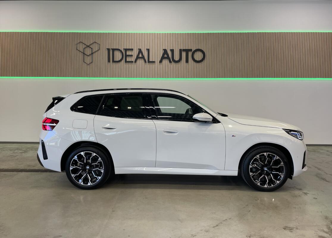 X3 xDrive20 automobilio nuoma