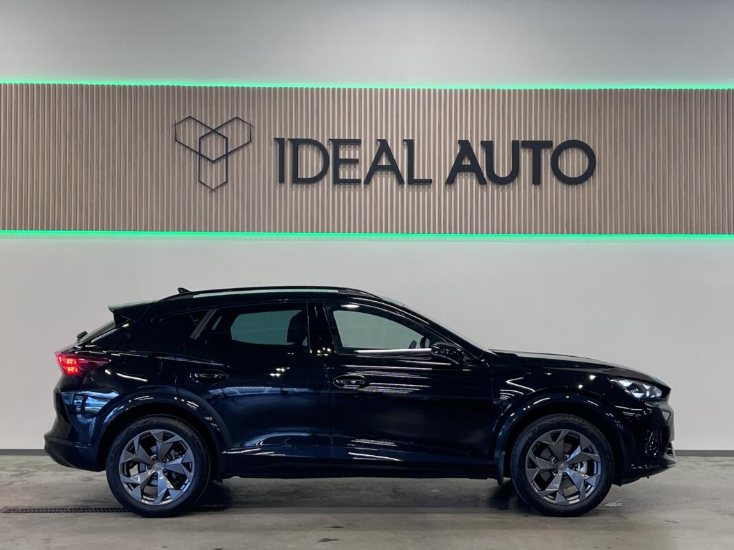 Formentor 1.5 eTSI automobilio nuoma